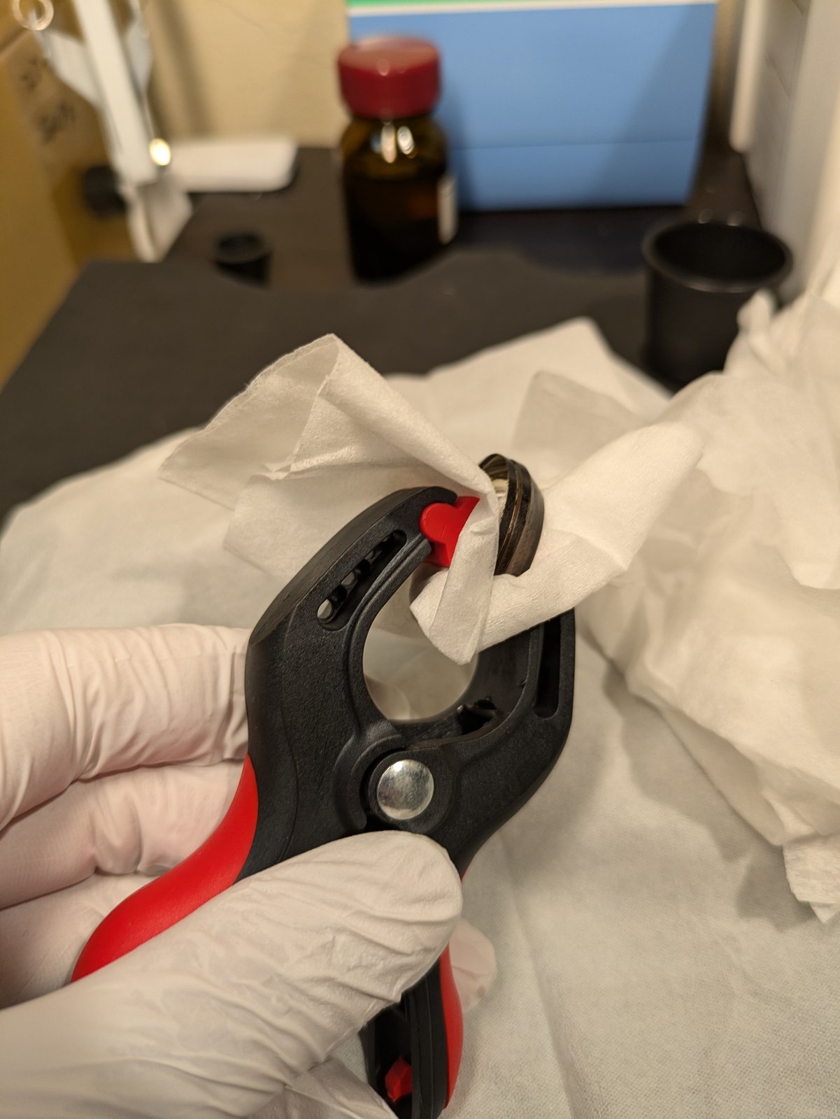 The pair held in a spring clamp wrapped in tissue